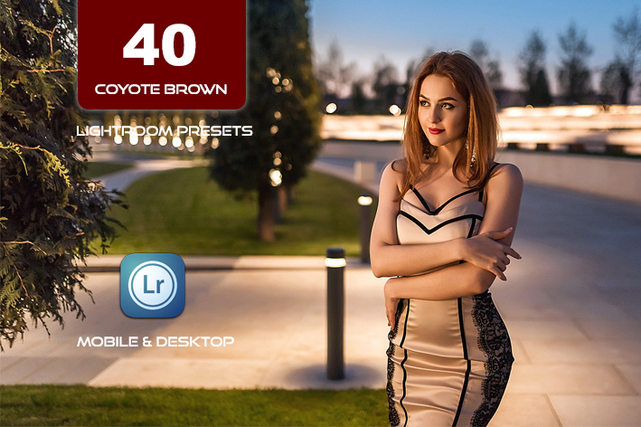40 پریست لایت روم 2023 حرفه ای و پریست کمرا راو تم شکلاتی Coyote Brown Lightroom Presets