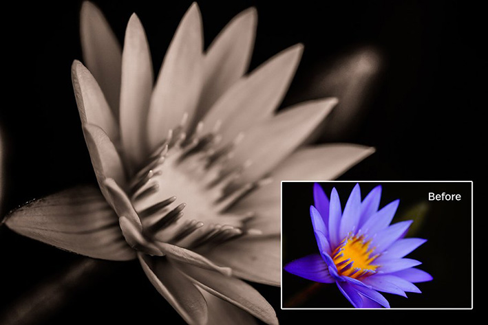 دانلود 10 پریست لایت روم زیبا Detail Lightroom Presets دانلود 10 پریست لایت روم زیبا Detail Lightroom Presets