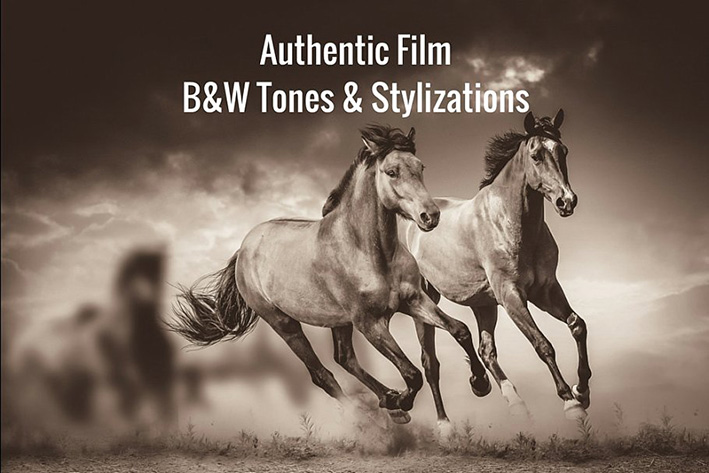 دانلود 147 پریست لایت روم Black White Lightroom Presets Bundle دانلود 147 پریست لایت روم Black White Lightroom Presets Bundle