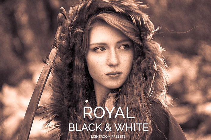 دانلود 20 پریست لایت روم حرفه ای : Royal Black White Lightroom Presets دانلود 20 پریست لایت روم حرفه ای : Royal Black White Lightroom Presets