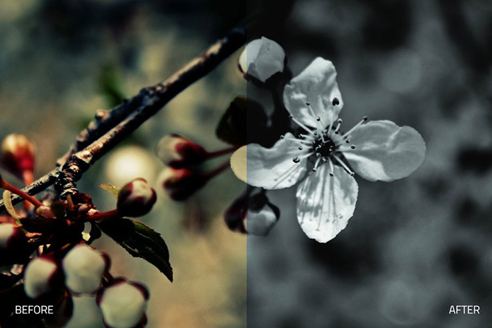 دانلود 58 پریست لایت روم Silverlight black white Lightroom Presets دانلود 58 پریست لایت روم Silverlight black white Lightroom Presets