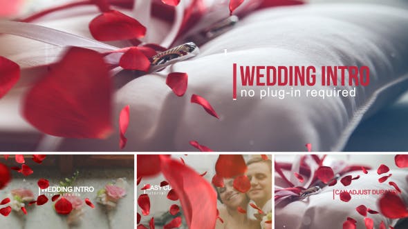 دانلود پروژه آماده افترافکت عروسی تیتراژ Wedding Intro دانلود پروژه آماده افترافکت عروسی تیتراژ Wedding Intro
