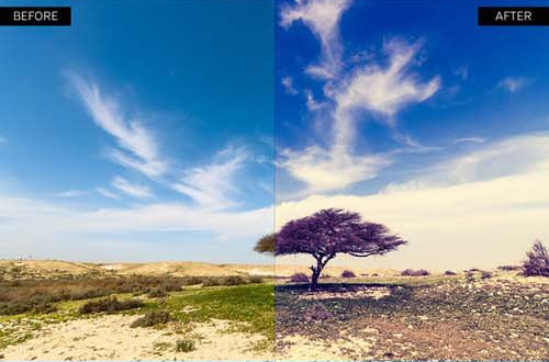 دانلود پریست لایت روم حرفه ای Intensity Lightroom Presets دانلود پریست لایت روم حرفه ای Intensity Lightroom Presets