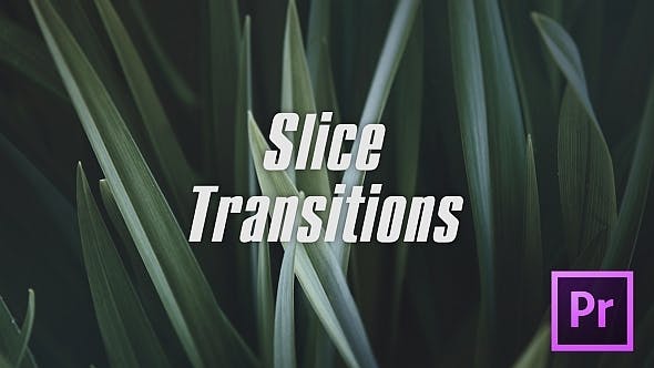 دانلود پکیج ترنزیشن حرفه ای پریمیر Slice Transitions دانلود پکیج ترنزیشن حرفه ای پریمیر Slice Transitions