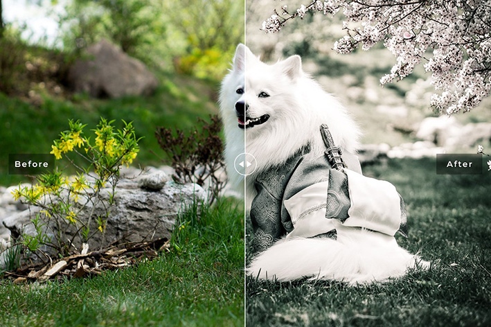 دانلود 11 پریست سینمایی لایت روم و Camera Raw فتوشاپ : My Dog Lightroom Presets دانلود 11 پریست سینمایی لایت روم و Camera Raw فتوشاپ : My Dog Lightroom Presets
