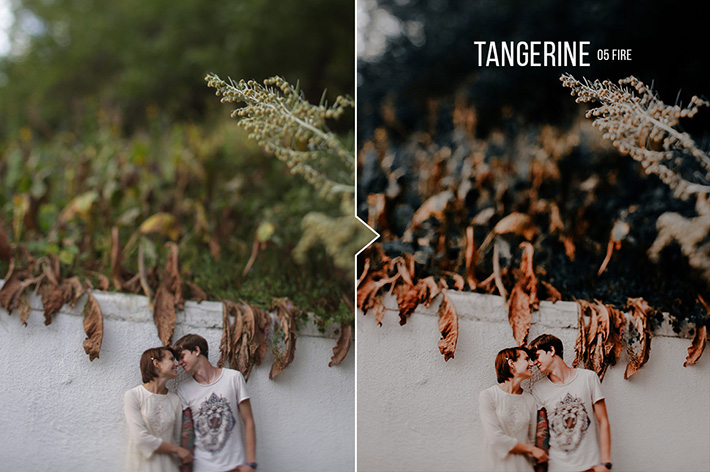 دانلود 20 پریست لایت روم : Tangerine 20 Portrait Presets for Lightroom & ACR دانلود 20 پریست لایت روم : Tangerine 20 Portrait Presets for Lightroom & ACR