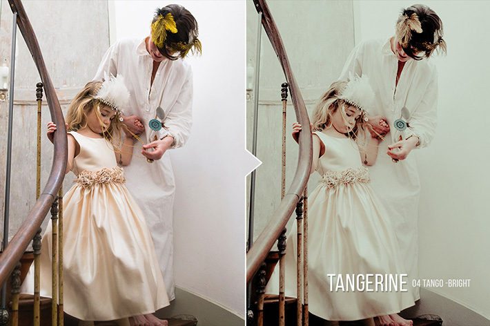 دانلود 20 پریست لایت روم : Tangerine 20 Portrait Presets for Lightroom & ACR دانلود 20 پریست لایت روم : Tangerine 20 Portrait Presets for Lightroom & ACR