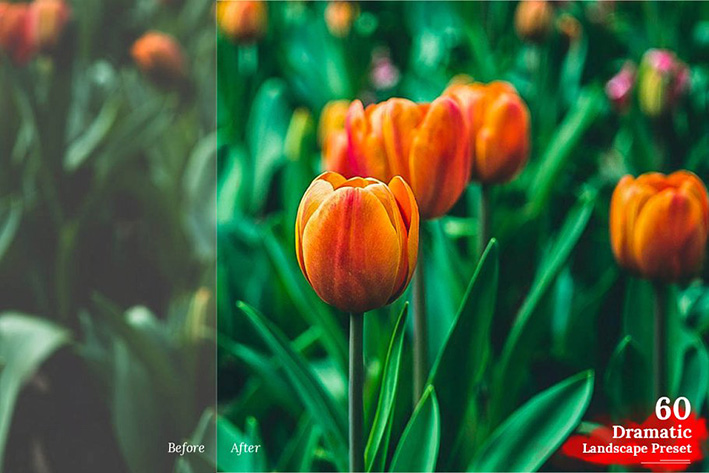 دانلود 325 پریست لایت روم حرفه ای : creativemarket 325 Lightroom Preset Mega Pack دانلود 325 پریست لایت روم حرفه ای : creativemarket 325 Lightroom Preset Mega Pack
