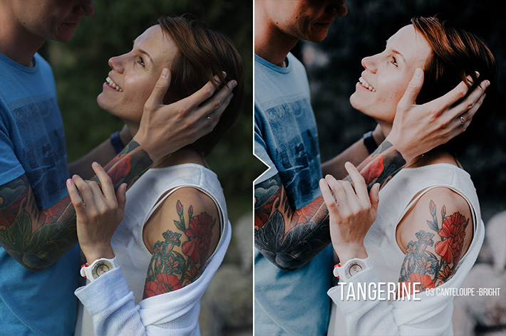 دانلود 20 پریست لایت روم : Tangerine 20 Portrait Presets for Lightroom & ACR دانلود 20 پریست لایت روم : Tangerine 20 Portrait Presets for Lightroom & ACR