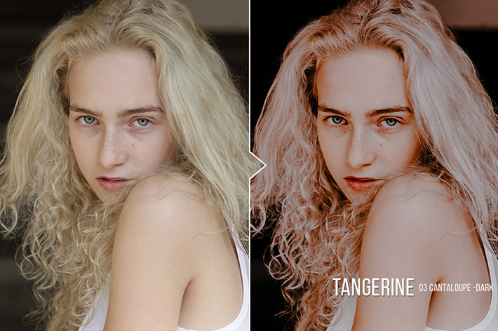 دانلود 20 پریست لایت روم : Tangerine 20 Portrait Presets for Lightroom & ACR دانلود 20 پریست لایت روم : Tangerine 20 Portrait Presets for Lightroom & ACR