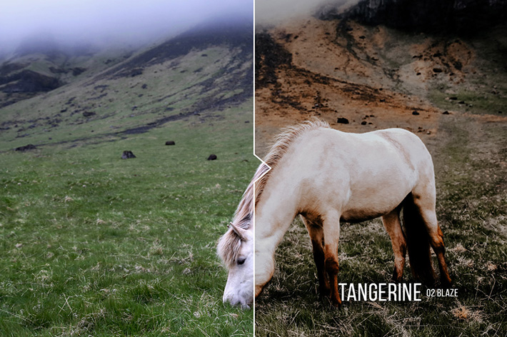 دانلود 20 پریست لایت روم : Tangerine 20 Portrait Presets for Lightroom & ACR دانلود 20 پریست لایت روم : Tangerine 20 Portrait Presets for Lightroom & ACR