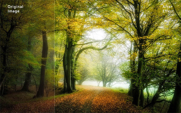 دانلود 15 پریست لایت روم : Nature HDR Lightroom preset دانلود 15 پریست لایت روم : Nature HDR Lightroom preset