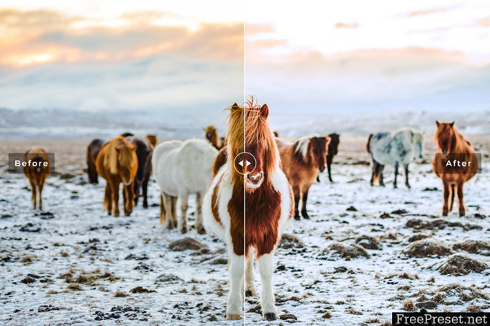دانلود پریست لایت روم و Camera Raw و اکشن: Iceland Mobile Desktop Lightroom Presets دانلود پریست لایت روم و Camera Raw و اکشن: Iceland Mobile Desktop Lightroom Presets