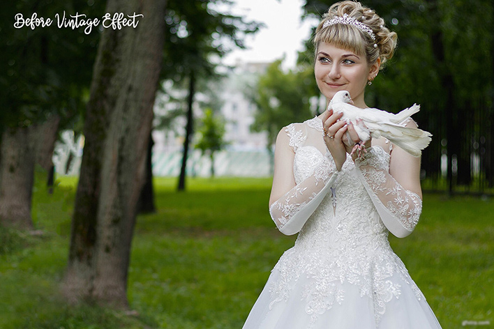 دانلود پریست لایت روم : پریست عروسی Vintage Wedding Lightroom Presets