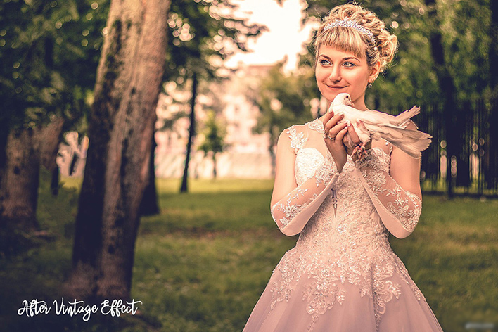 دانلود پریست لایت روم : پریست عروسی Vintage Wedding Lightroom Presets