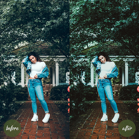 دانلود پریست لایت روم و Camera Raw و اکشن: Avocado Mobile and Desktop Lightroom Presets دانلود پریست لایت روم و Camera Raw و اکشن: Avocado Mobile and Desktop Lightroom Presets
