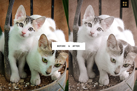 دانلود 121 پریست لایت روم و Camera Raw و اکشن: Duotone Lightroom Profiles دانلود پریست رنگی لایت روم دسکتاپ و موبایل : Le Natures Neutral Lightroom Presets
