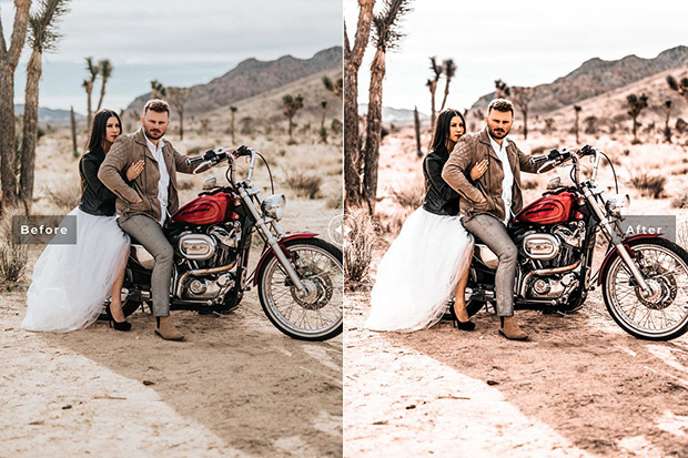 دانلود پریست لایت روم و Camera Raw و اکشن: Earthy Tones Lightroom Presets دانلود پریست لایت روم و Camera Raw و اکشن: Earthy Tones Lightroom Presets