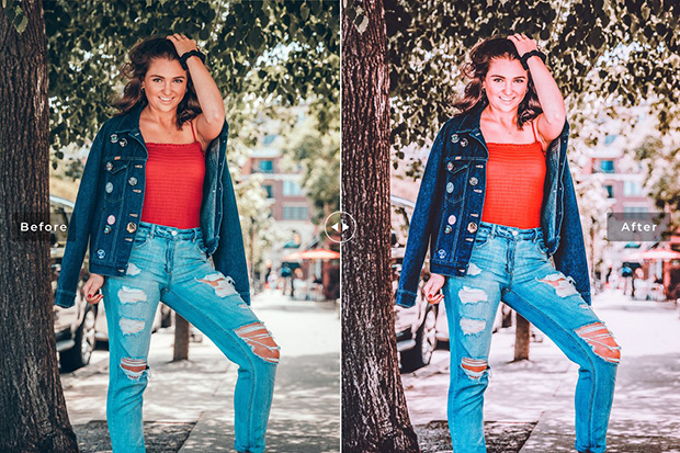 دانلود پریست لایتروم و Camera Raw و اکشن: Flamingo Pro Lightroom Presets دانلود پریست لایتروم و Camera Raw و اکشن: Flamingo Pro Lightroom Presets