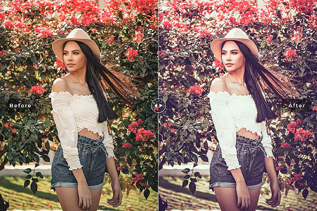 دانلود پریست لایت روم و Camera Raw و اکشن: Perfect Colors Mobile Desktop Lightroom Presets دانلود پریست لایت روم و Camera Raw و اکشن: Perfect Colors Mobile Desktop Lightroom Presets