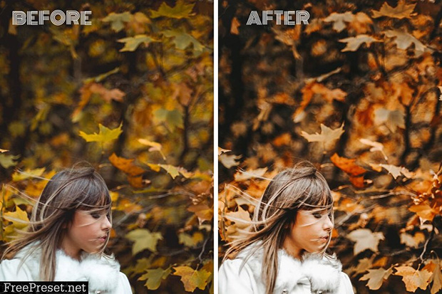 دانلود پریست لایت روم موبایل Mobile Lightroom Presets AUTUMN FEED دانلود پریست لایت روم موبایل Mobile Lightroom Presets AUTUMN FEED