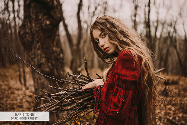 دانلود پریست لایت روم حرفه ای موبایل : Earth Tone Mobile Presets دانلود پریست لایت روم حرفه ای موبایل : Earth Tone Mobile Presets