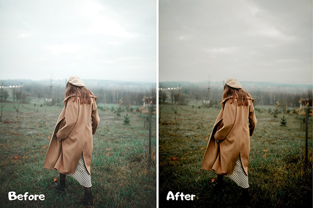 پریست لایت روم دسکتاپ و موبایل تم فضای باز True Tone Lightroom Presets XMP And DNG پریست لایت روم دسکتاپ و موبایل تم فضای باز True Tone Lightroom Presets XMP And DNG