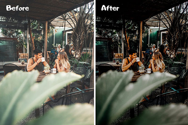 پریست لایت روم دسکتاپ و موبایل تم سبز Green Lightroom Presets XMPDNG پریست لایت روم دسکتاپ و موبایل تم سبز Green Lightroom Presets XMPDNG