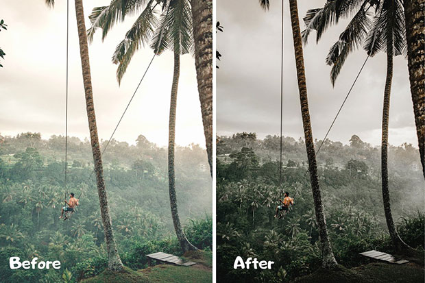 پریست لایت روم دسکتاپ و موبایل تم سبز Green Lightroom Presets XMPDNG پریست لایت روم دسکتاپ و موبایل تم سبز Green Lightroom Presets XMPDNG