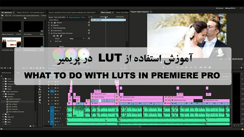 آموزش استفاده از پریست رنگی LUT در پریمیر LUTS IN PREMIERE PRO