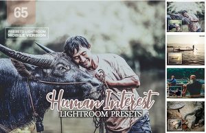 دانلود-رایگان-پریست-لایتروم-لایت روم-سینمایی