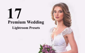دانلود پریست های آماده لایت روم عروسی Premium Wedding Lightroom Presets