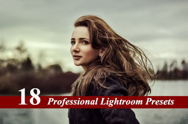 18 افکت پریست لایت روم دسکتاپ حرفه ای Professional Lightroom Presets