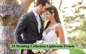 25 پریست لایتروم مخصوص عروسی Wedding Collection Lightroom Presets