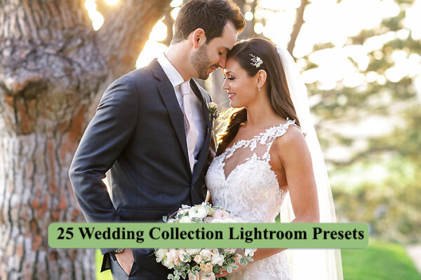 25 پریست لایتروم مخصوص عروسی Wedding Collection Lightroom Presets