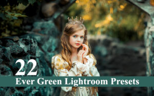 دانلود 22 پریست لایت روم تم سبز Ever Green 22 Lightroom Presets