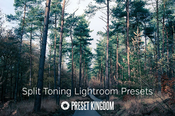 دانلود 23 پریست لایت روم جدا کننده رنگ Split Toning Lightroom Presets