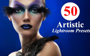 دانلود 50 پریست لایت روم تم هنری Artistic Lightroom Presets Vol. 2