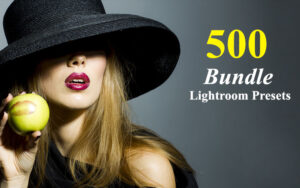 دانلود 500 پریست لایت روم مخصوص دسکتاپ Lightroom Presets Bundle