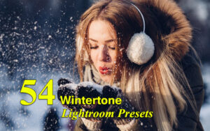 دانلود 54 پریست لایت روم زمستان Wintertone Lightroom Presets