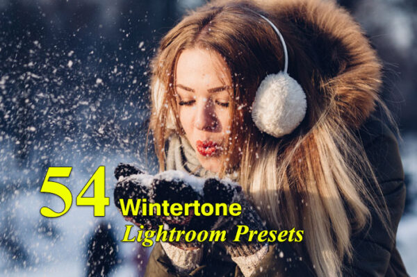 دانلود 54 پریست لایت روم زمستان Wintertone Lightroom Presets