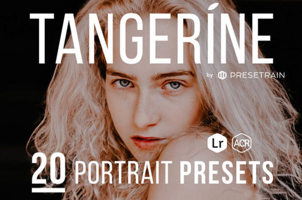 20 پریست لایت روم و کمرا راو تم نارنگی Tangerine 20 Portrait Presets for Lightroom & ACR