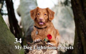 34 پریست لایت روم عکس حیوانات My Dog Lightroom Presets