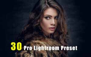 دانلود 30 پریست رنگی لایت روم حرفه ای Pro Lightroom Preset