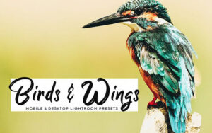34 پریست لایت روم و کمرا راو حیوانات Birds Wings Mobile And Desktop Lightroom Presets