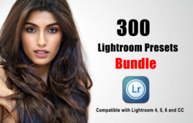 دانلود 300 عدد از بهترین پریست های لایت روم Lightroom Presets Bundle
