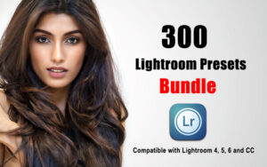 دانلود 300 عدد از بهترین پریست های لایت روم Lightroom Presets Bundle