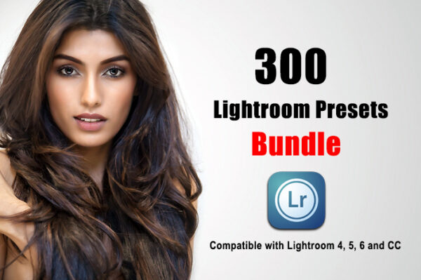 دانلود 300 عدد از بهترین پریست های لایت روم Lightroom Presets Bundle