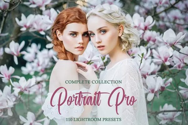پکیج پریست لایت روم و براش لایت روم پرتره Portrait Pro Complete Collection