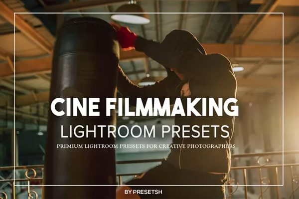 ۱۴ پریست رنگی سینمایی لایت روم دسکتاپ Cine Filmmaking Lightroom Presets